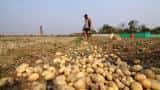 Retail Inflation touches 21-month high in May