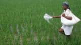 Government to release Rs 485 crore outstanding subsidy: Deepak Fertiliser