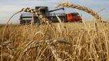 India extends 25% tax on wheat imports: Ram Vilas Paswan