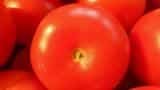 High tomato prices upsurges demand for puree, ketchup by 40%