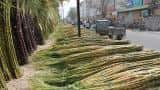 India's sugar output likely to fall 7% in 2016-17: ISMA