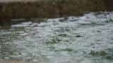 Second half of monsoon likely to bring more than sufficient rainfall Second half of monsoon likely to bring more than sufficient rainfall