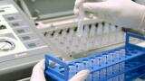 EU regulator to review Mylan-Biocon&#039;s cancer drug; shares hit new high