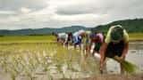 Govt earmarks nearly Rs 1,000 crore to double farmers' income