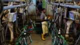 Output index of eight core industries rose by 6.6% in October