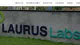 Is Laurus Lab IPO a good deal for investors? 