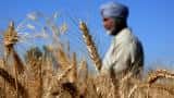 India scraps wheat import duty, raising doubts about output estimates