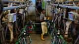 India&#039;s factory output drops by 1.9% in October