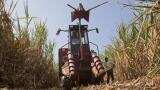 Sugar mills shut early as drought hits cane crop: Trade body