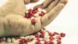 Pharma Q3: FDA inspection, US pricing market key Pharma Q3: FDA inspection, US pricing market key
