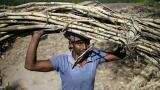 India rules out lowering sugar import tax in near term, says government source