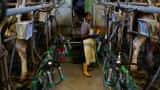Factory output in December falls by 0.4%