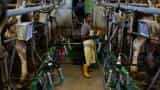 Factory output bounces back in Jan, expands by 2.7%