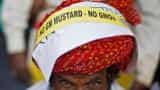 India's regulator clears use of GM mustard, final approval awaited