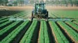 Cabinet approves interest subvention on short-term crop loans; Here's are its features Cabinet approves interest subvention on short-term crop loans; Here's are its features