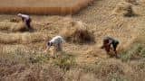 How to help ease farmers' distress without a loan waiver?