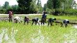 Karnataka announces crop loan waiver for farmers