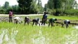 Karnataka announces crop loan waiver for farmers