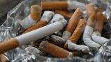 Higher cess on cigarettes to impact tobacco farmers