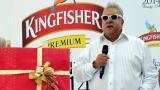 Vijay Mallya to get same treatment as other prisoners: India to UK