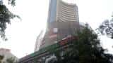 Sebi&#039;s diktat leaves 331 suspected shell companies out in the cold 