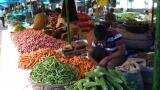 August retail inflation rises 3.36% 