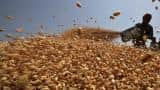 India's wheat, pulses output seen rising, to curb imports