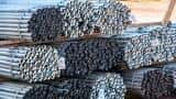 India supports fair global trade in steel sector: Min