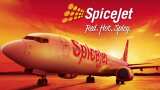 SpiceJet may put seaplanes into operations within one year