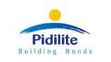 Pidilite board approves buy-back offer