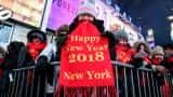 Party hardy: Revelers brave Times Square on a frigid New Year&#039;s Eve