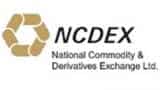 NCDEX seeks Sebi nod for futures trade in nickel, aluminium