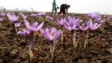 Farmers' incomes have declined 1.38% since 2014: Yashwant Sinha