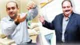 PNB fraud: Nirav Modi 'friend', Mehul Choksi 'uncle'; code words used in biggest ever banking scam