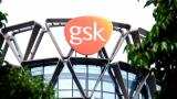 Nestle, other food groups likely suitors for GSK&#039;s Horlicks: Sources