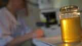 Is your honey pure enough? FSSAI to ensure purity with 20 parameter test Is your honey pure enough? FSSAI to ensure purity with 20 parameter test
