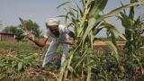 India needs robust exports, investment growth to achieve 8% growth, says ADB economist India needs robust exports, investment growth to achieve 8% growth, says ADB economist