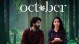October Box Office Collection: At Rs 25.56 cr, this Varun Dhawan movie has maintained BO momentum
