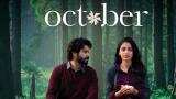 ‘October’ starring Varun Dhawan clocks Rs 31.60 crore box office collection in two weeks