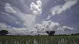 IMD forecast boost: Monsoon in India yet to arrive, but rain linked stocks skyrocket IMD forecast boost: Monsoon in India yet to arrive, but rain linked stocks skyrocket