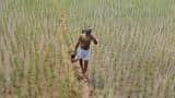 This state just approved Rs 5 lakh insurance cover to farmers