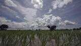 Monsoon rains hit Kerala coast, may brighten outlook for agricultural output, economic growth