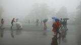 Monsoon may take month-and-a-half to cover rest of India, says Sathi Devi, IMD Monsoon may take month-and-a-half to cover rest of India, says Sathi Devi, IMD