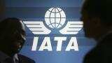 Global airport capacity crisis amid growing demand for international travel: IATA Global airport capacity crisis amid growing demand for international travel: IATA
