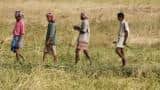 Distressed farmers from Maharashtra knock Supreme Court's doors for relief Distressed farmers from Maharashtra knock Supreme Court's doors for relief