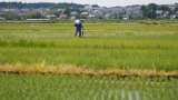 Karnataka to waive farm loans worth Rs 10,000 crore