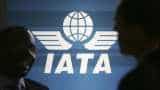 Aviation: IATA's new forecast for global growth revised to $33.8 billion 