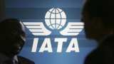 Aviation: IATA's new forecast for global growth revised to $33.8 billion Aviation: IATA's new forecast for global growth revised to $33.8 billion