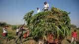 Doubling farmers income: CM panel mulls ways to align works under MGNREGA Doubling farmers income: CM panel mulls ways to align works under MGNREGA