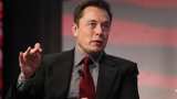 This is whom Tesla chief Elon Musk tweet will hit the most This is whom Tesla chief Elon Musk tweet will hit the most
